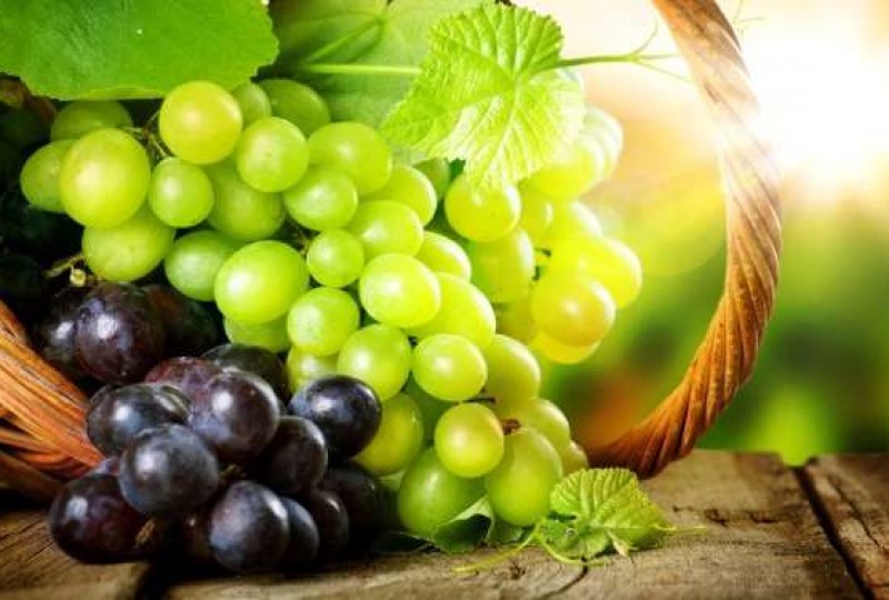 Маринованный виноград на зиму без стерилизации, рецепт с фото