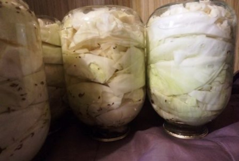 Рецепт квашеной капусты быстрого приготовления